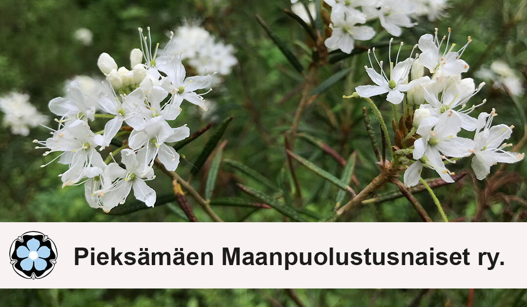 Pieksämäen yhdistyksen nimenmuutos