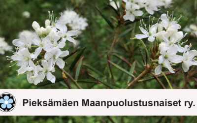 Pieksämäen yhdistyksen nimenmuutos