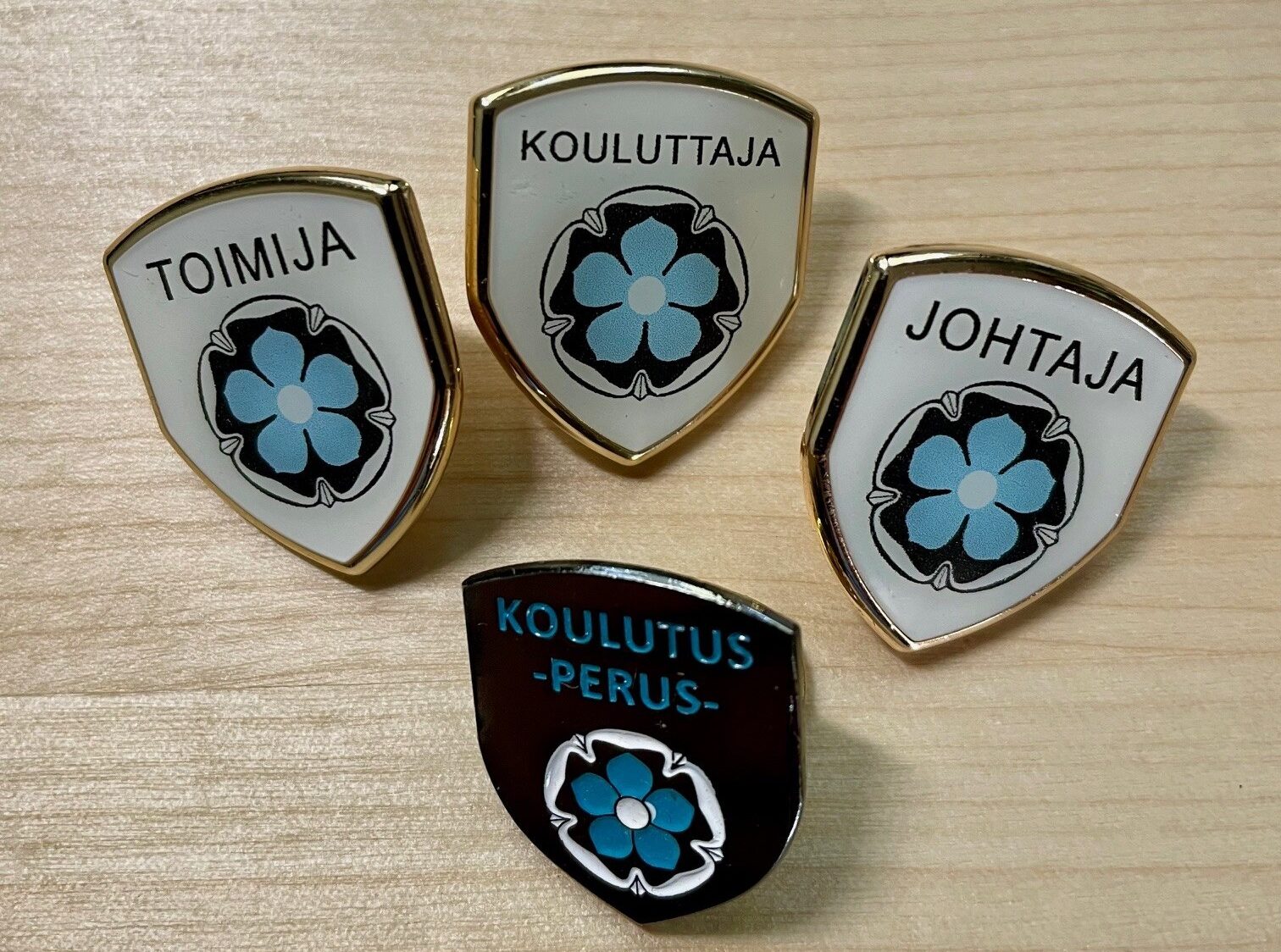 Piirien koulutusvastaavien valmennus