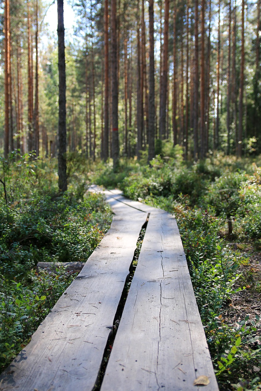Terveysmetsään Lahdessa