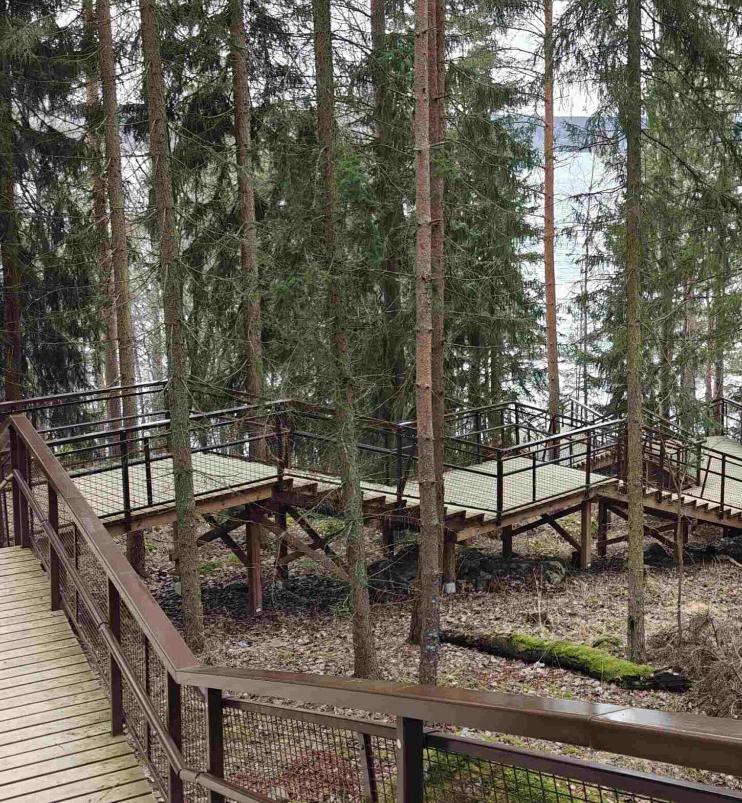 Lahden naiset vielä kerran porrastreenaa
