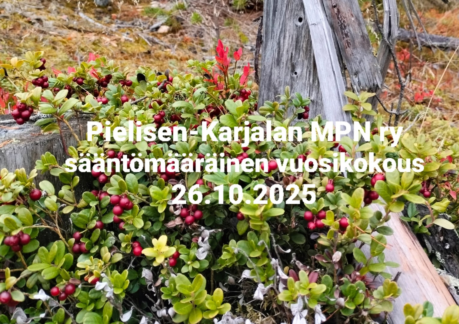 Pielisen-Karjalan Maanpuolustusnaiset ry:n sääntömääräinen syyskokous 26.10.2025