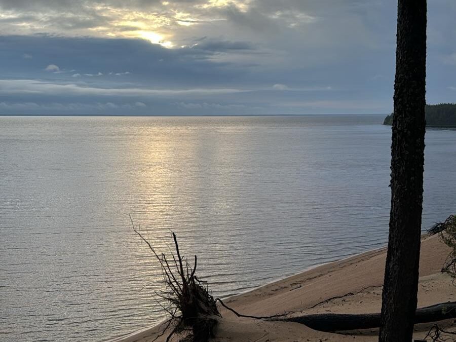 Suomen luonnon päivä