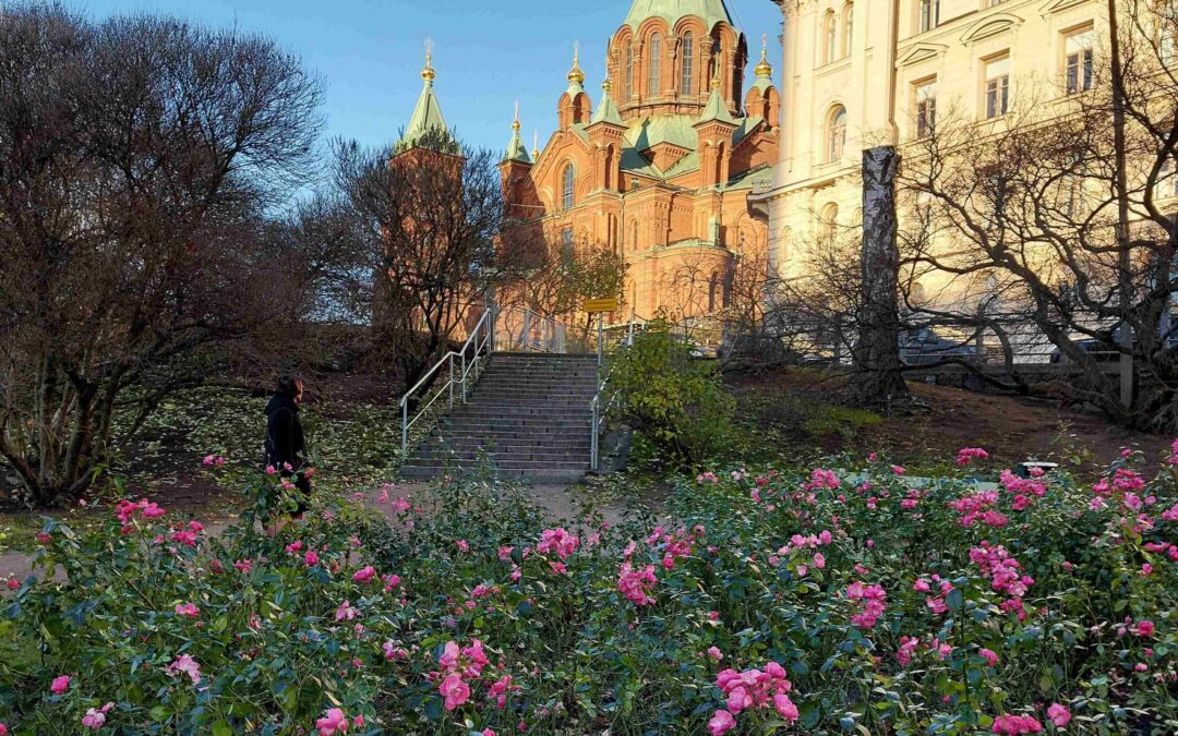 Liittokokokous 16.11.2024 Katajanokalla