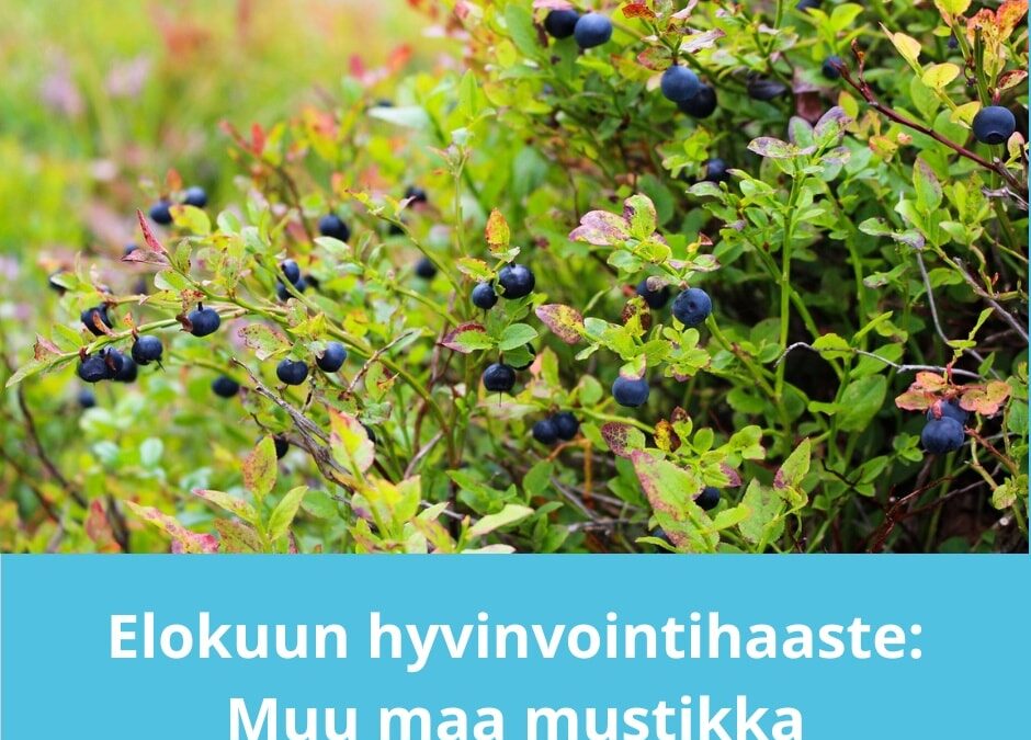 Elokuun hyvinvointi haaste: Muu maa mustikka 1.8.-31.8.24